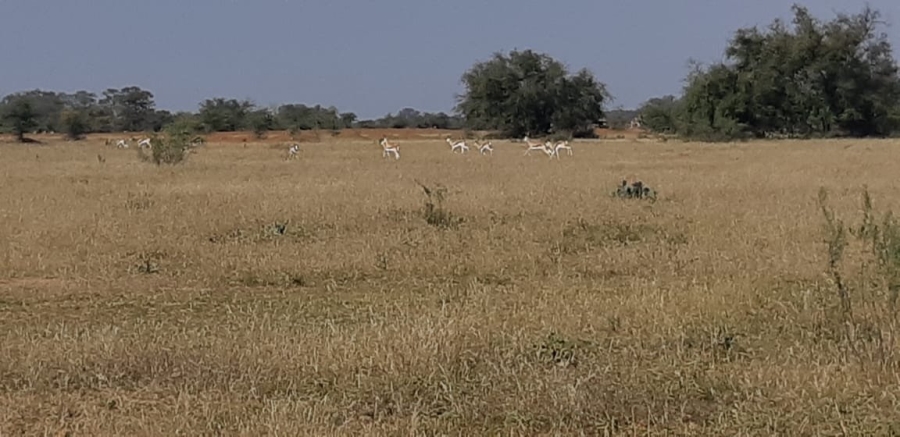 Commercial Property for Sale in Orkney Rural North West